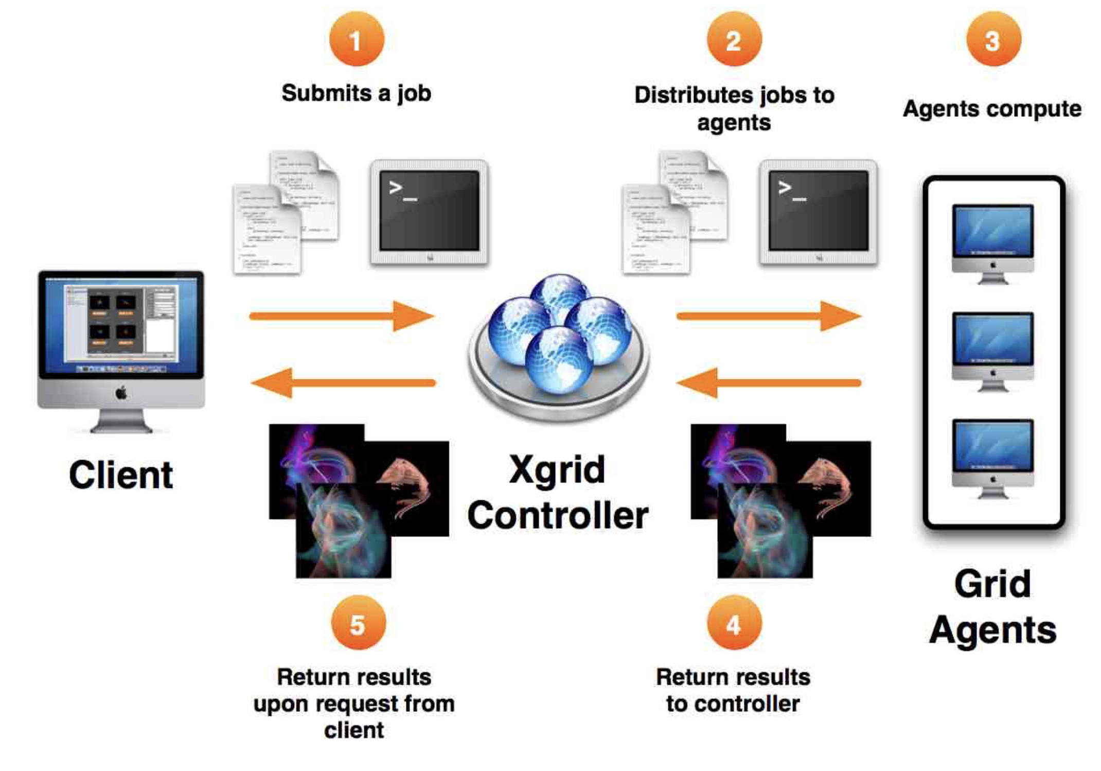 Fractal evolver: Interactive evolutionary design of fractals with grid computing